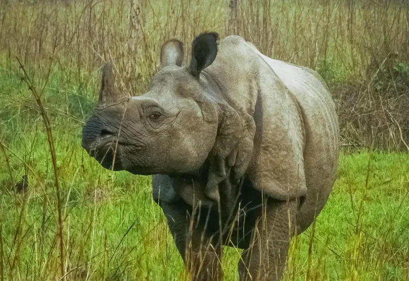 33721cd5849d7b55304638b0601b67298d0b31ef