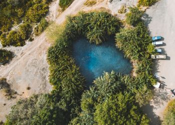 Kikuletwa-hot-springs-chemka_800x600