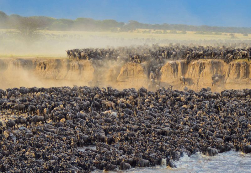 greatmigration
